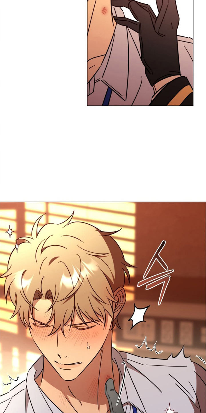 第8章：晕乎乎3