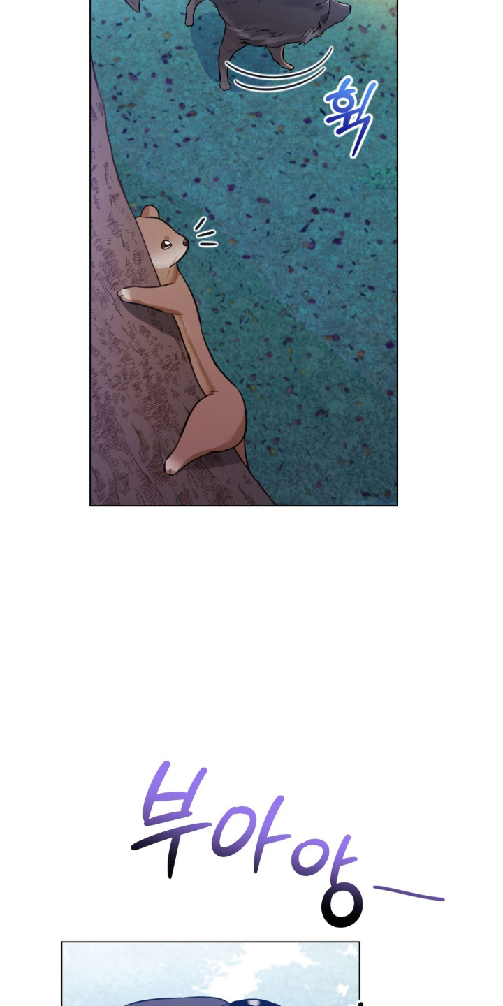 猛兽勿近漫画,第11章：流浪狗5图