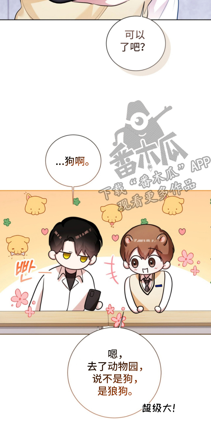 猛兽勿近漫画书正版漫画,第19章：交换号码3图