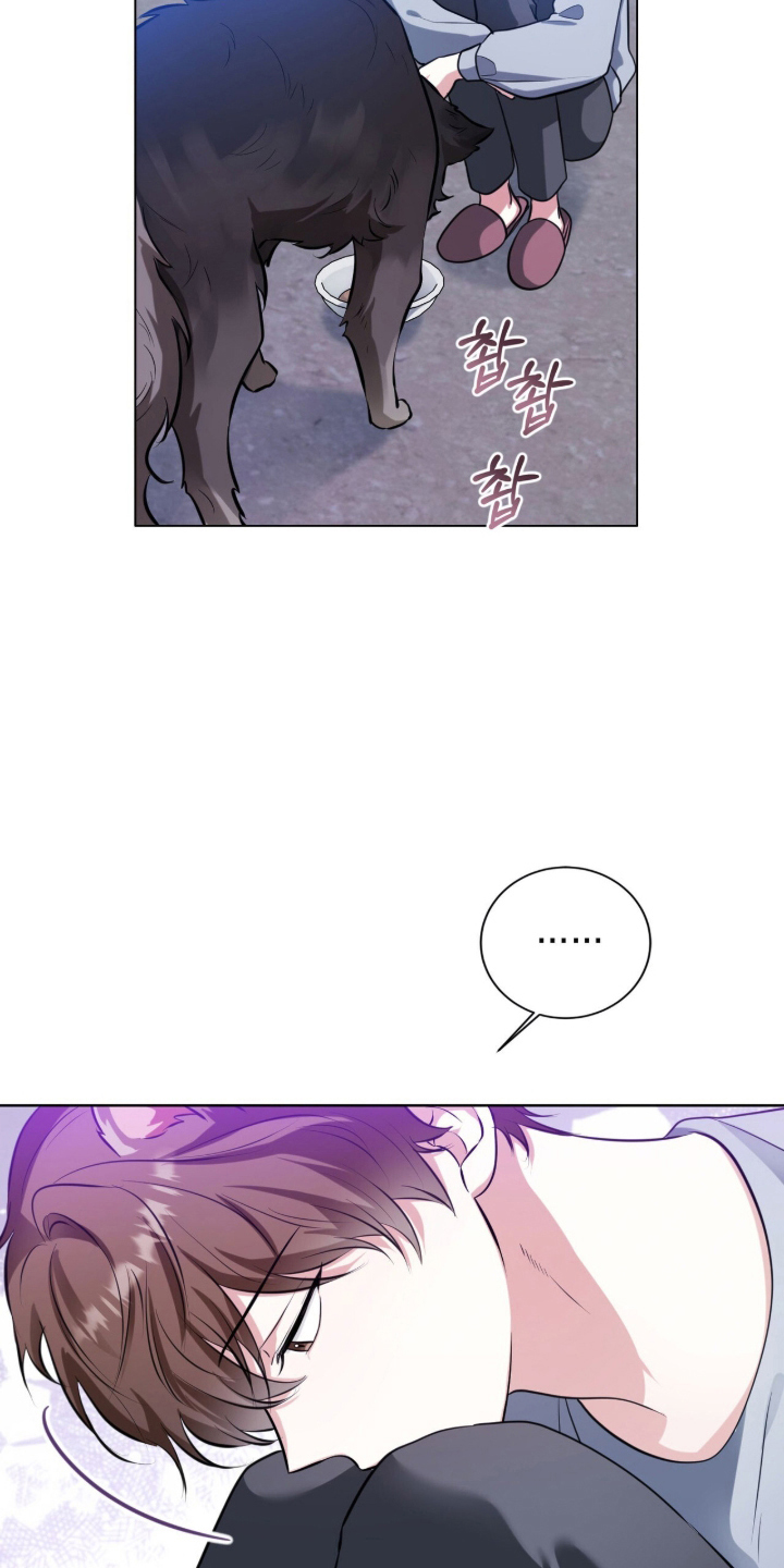 猛兽勿近漫画,第11章：流浪狗4图