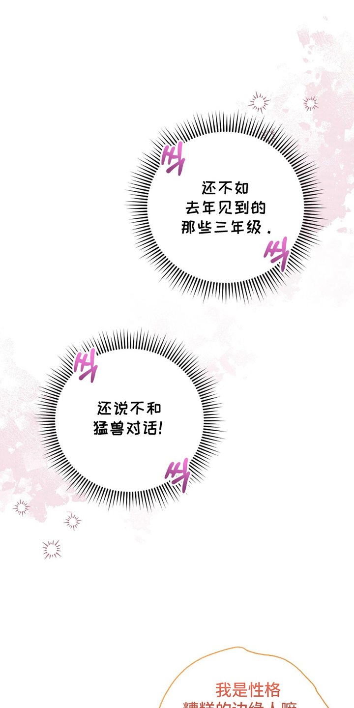 猛兽勿近漫画书正版漫画,第6章：变态4图