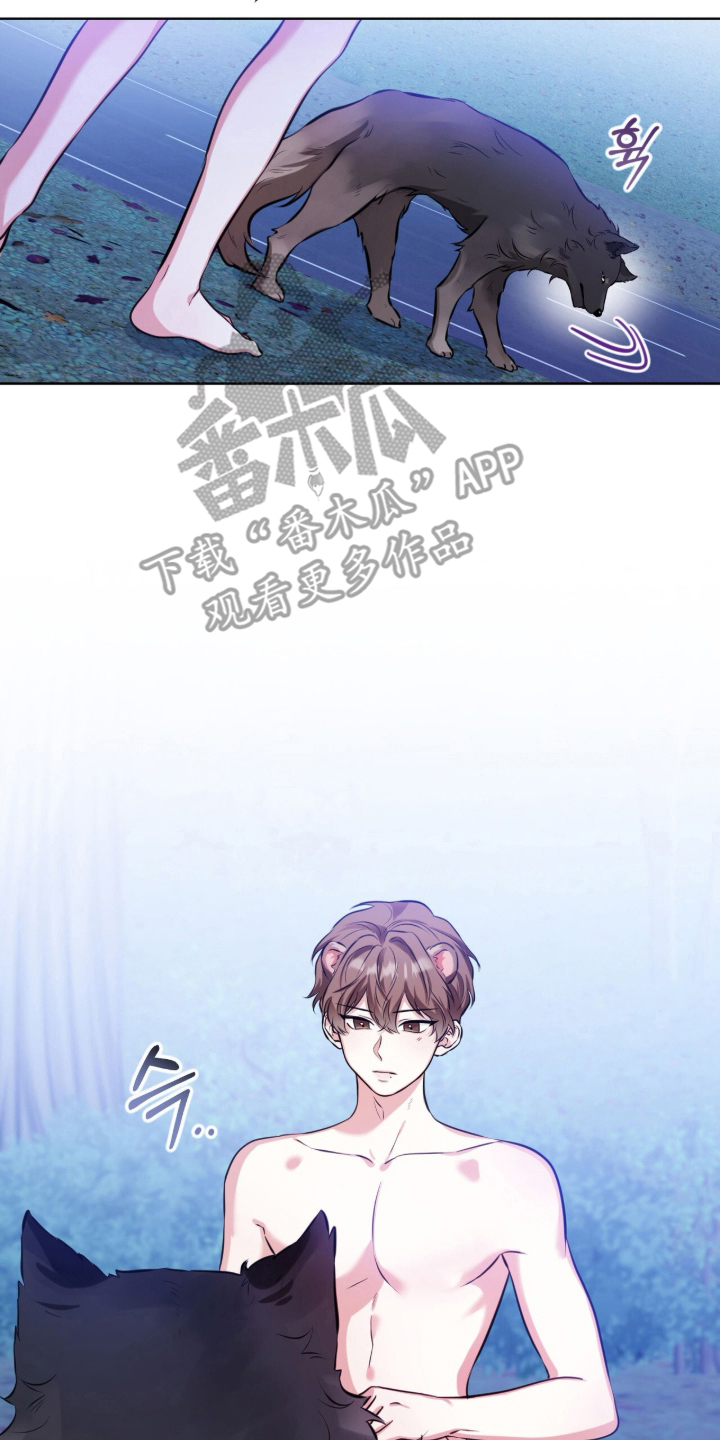 猛兽勿近漫画,第11章：流浪狗5图