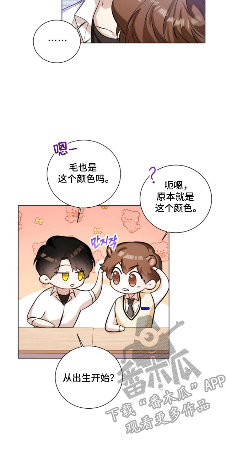 猛兽勿近漫画,第13章：因为喜欢5图