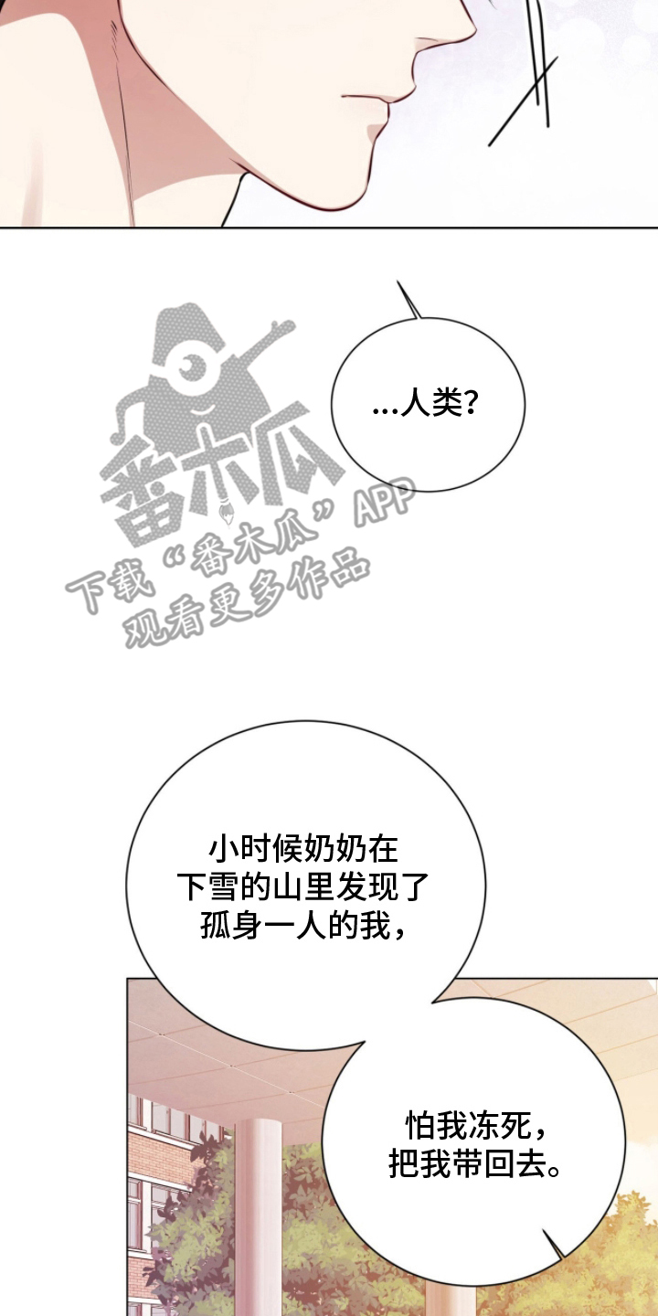 猛兽勿近漫画书正版漫画,第8章：要干什么5图