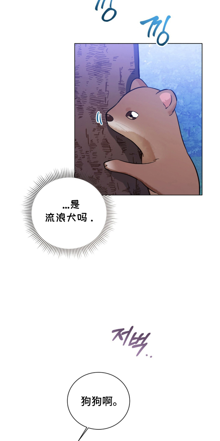 猛兽勿近漫画,第11章：流浪狗4图