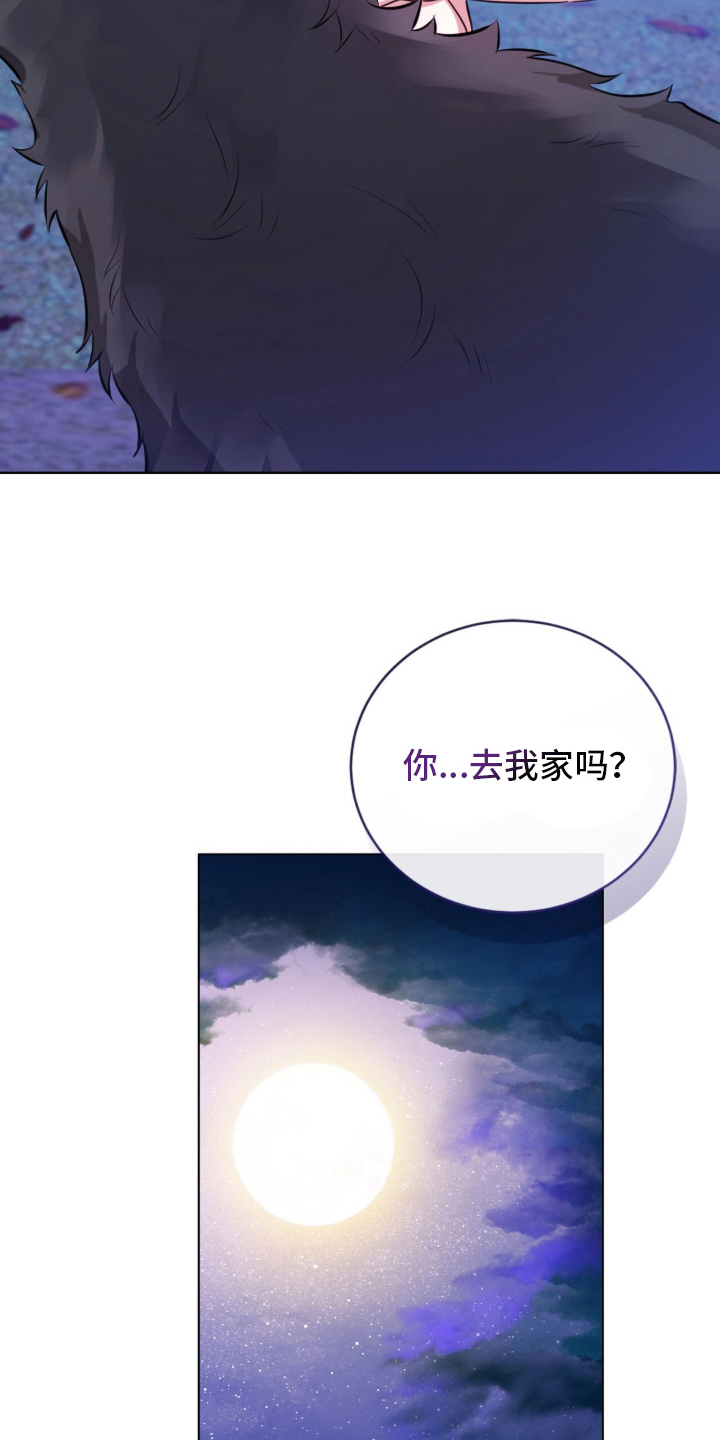 猛兽勿近漫画,第11章：流浪狗1图