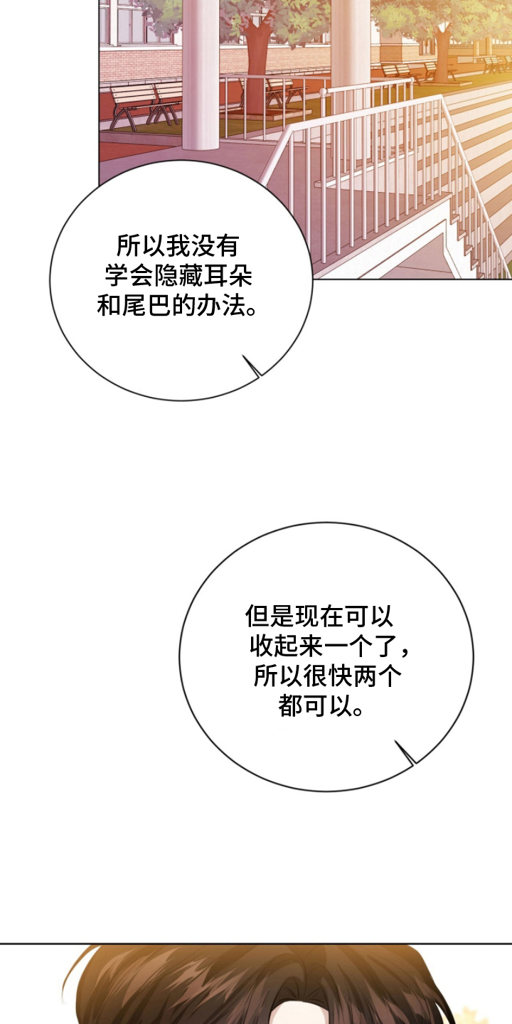 猛兽勿近漫画书正版漫画,第8章：要干什么1图
