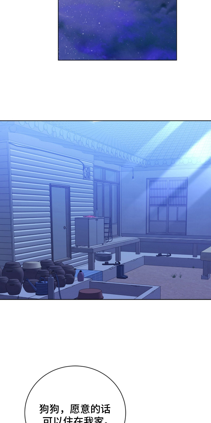 猛兽勿近漫画,第11章：流浪狗2图