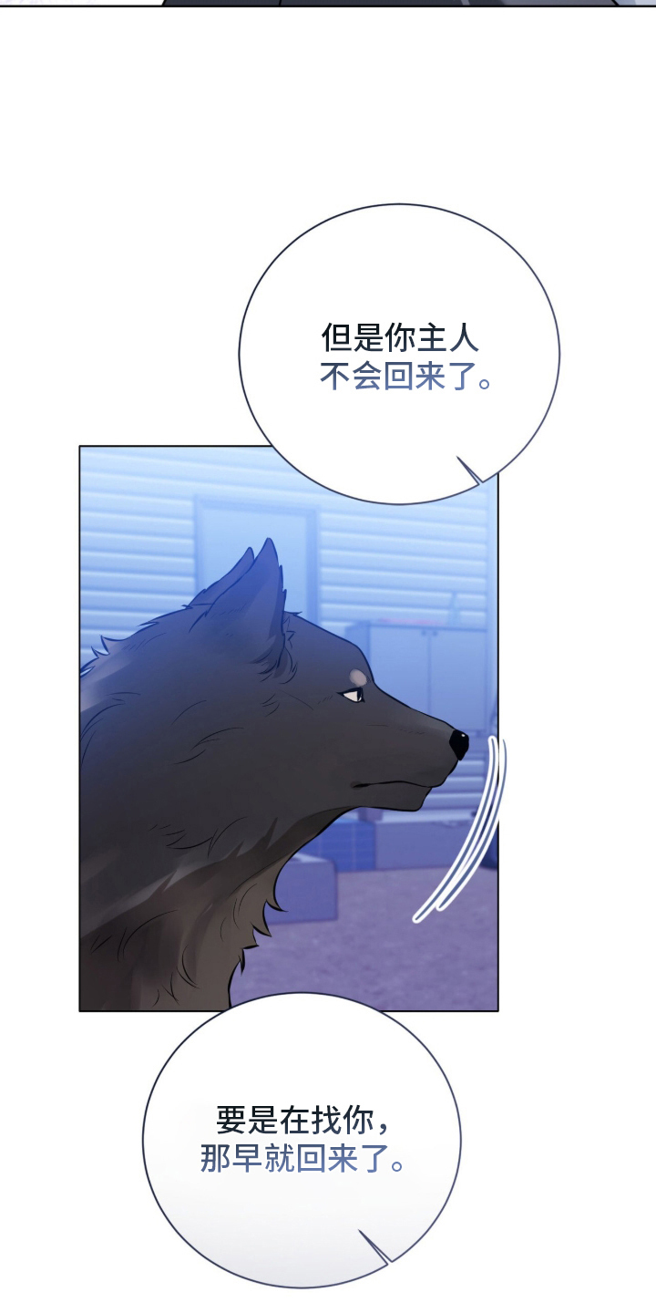 猛兽勿近漫画,第11章：流浪狗5图