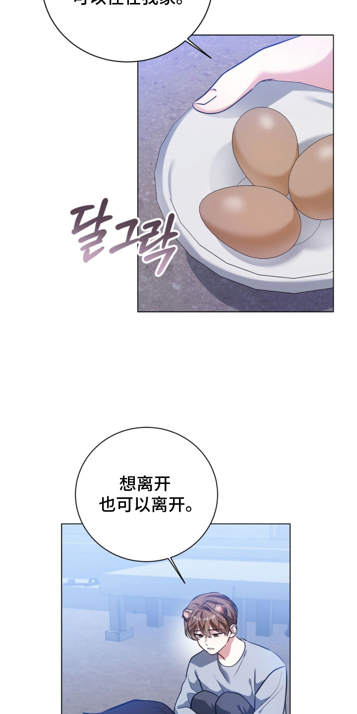 猛兽勿近漫画,第11章：流浪狗3图