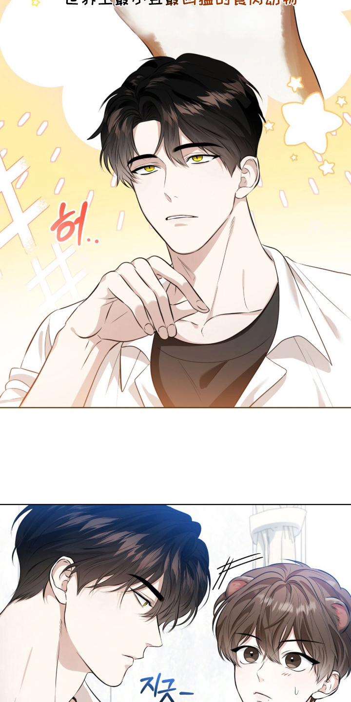 猛兽勿近漫画书正版漫画,第2章：最小的猛兽2图