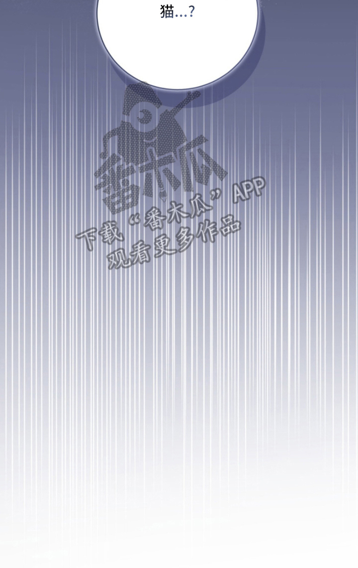 猛兽勿近漫画,第10章：委托5图