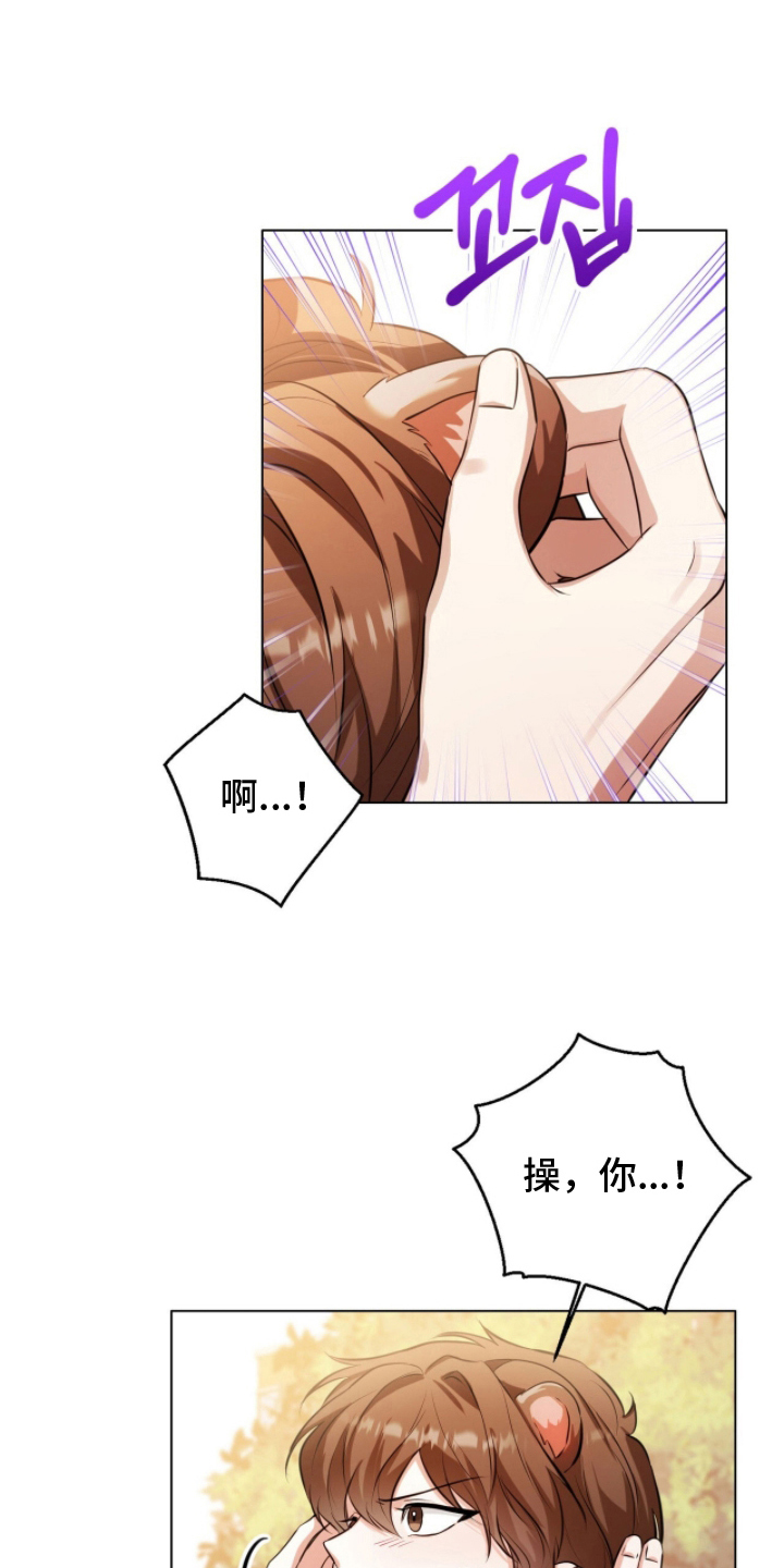 猛兽勿近漫画书正版漫画,第8章：要干什么5图