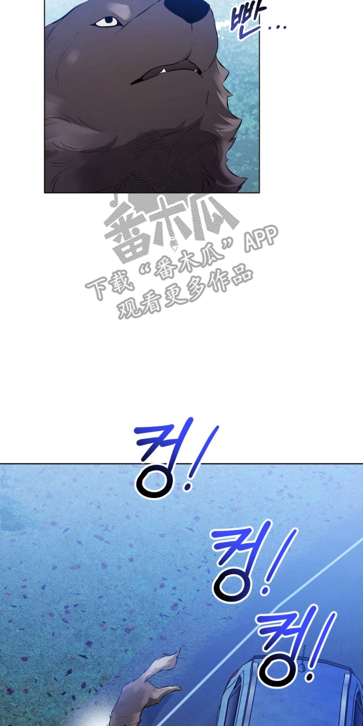 猛兽勿近漫画,第11章：流浪狗1图