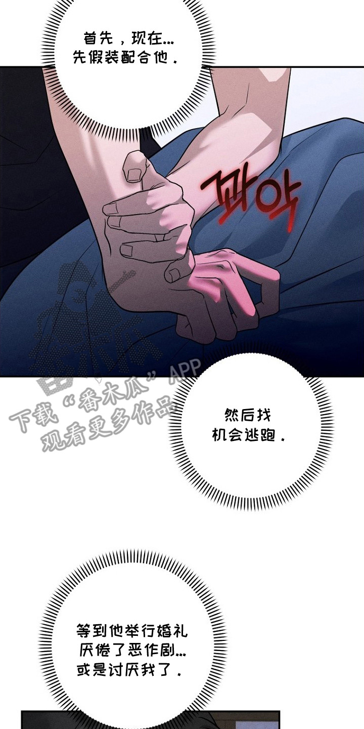 坠落小说无防盗版漫画,第9章：不是梦3图