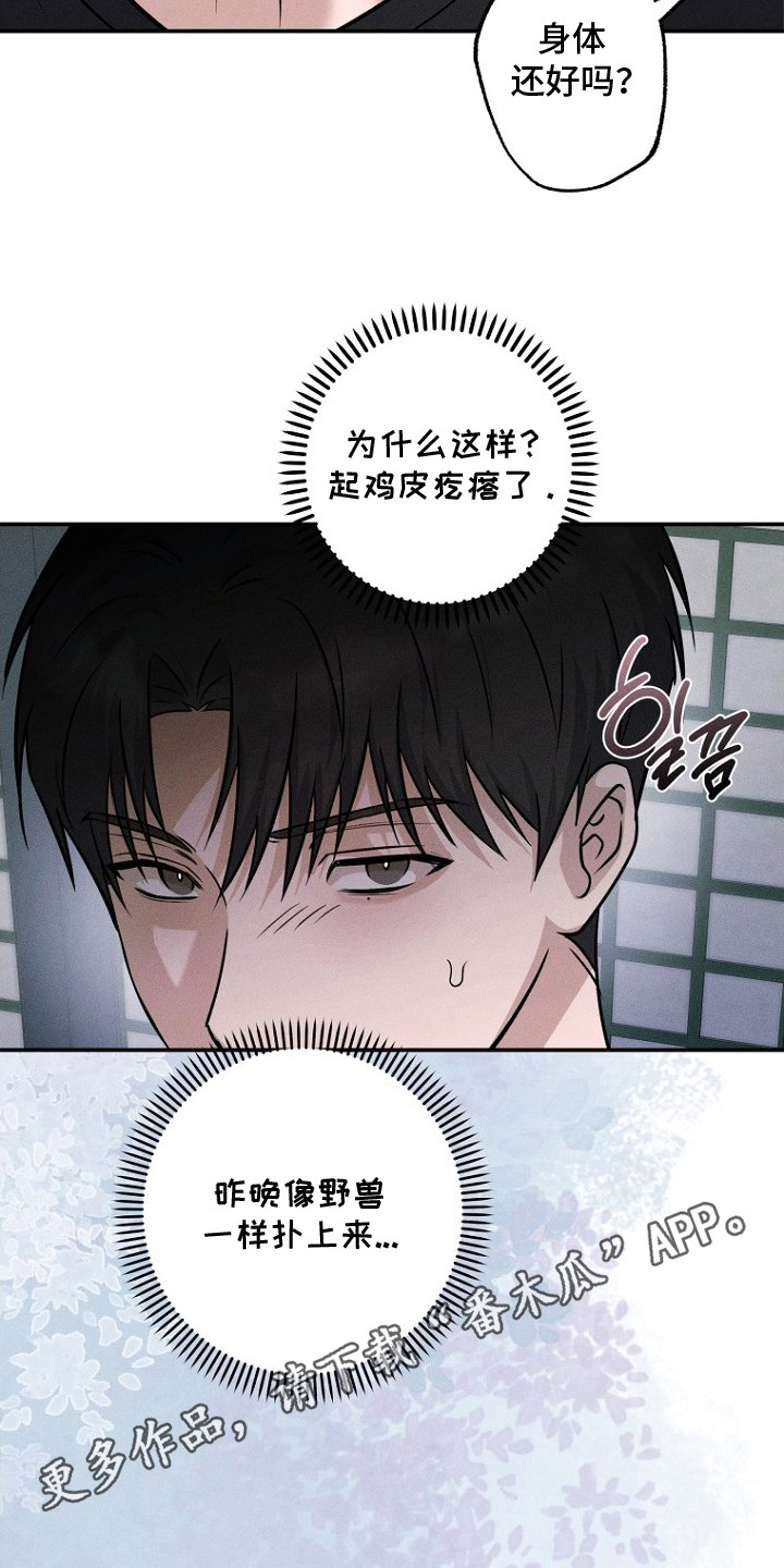 坠落小说无防盗版漫画,第9章：不是梦4图