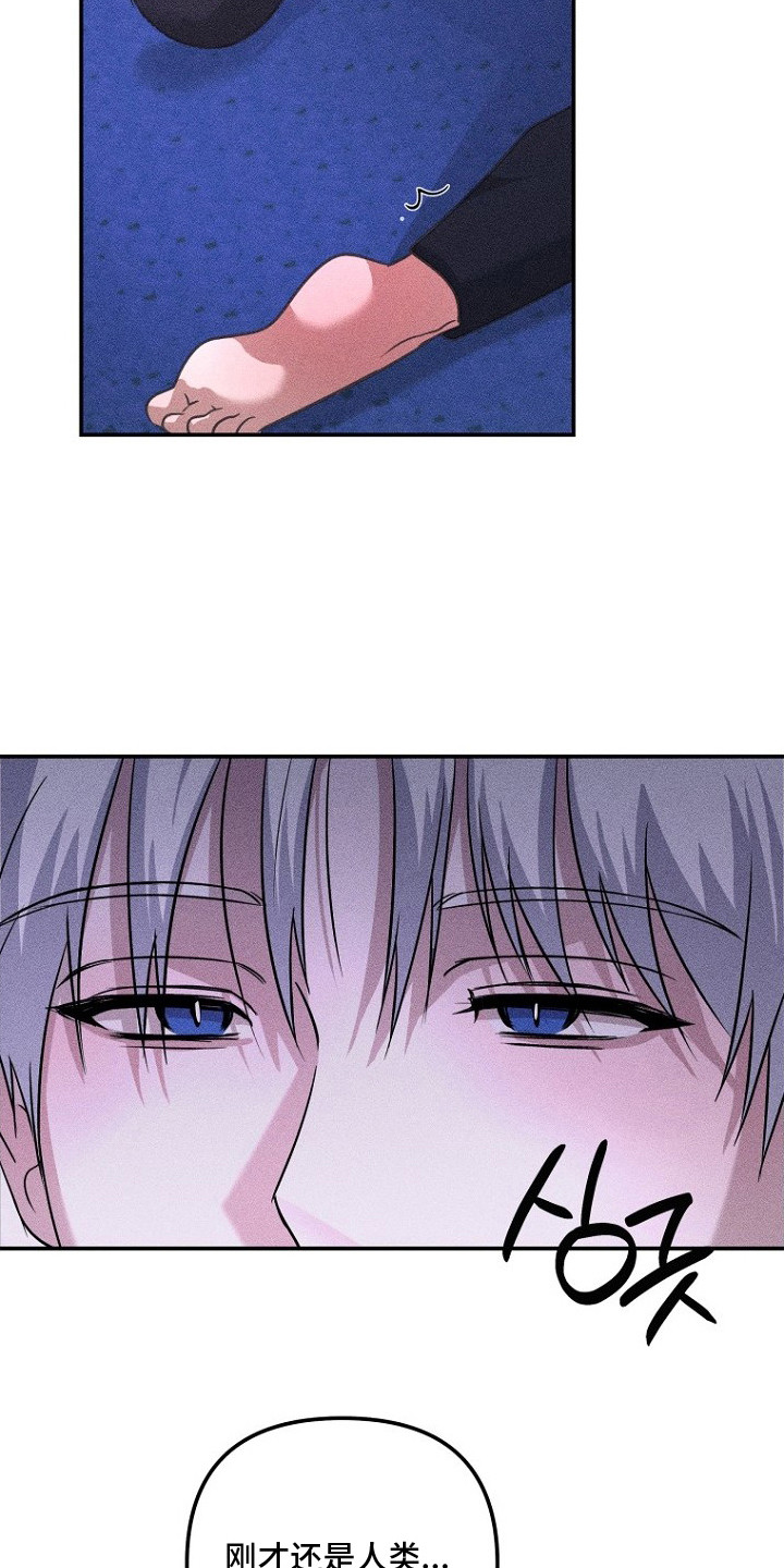 坠落婚途漫画,第14章：耳朵与尾巴5图