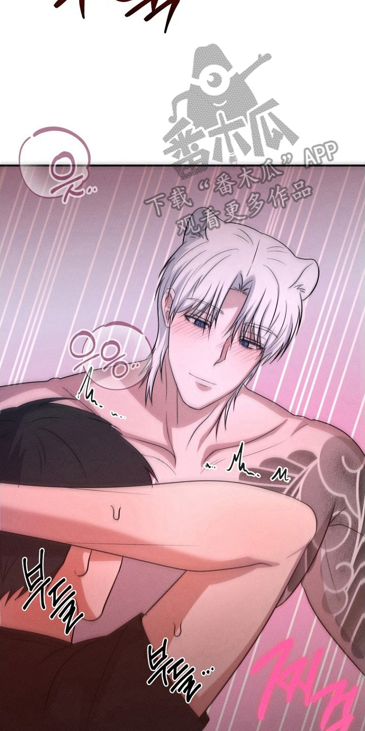 坠落婚途漫画,第6章：确认默契2图