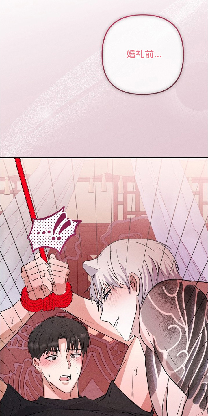 坠落婚途漫画,第6章：确认默契3图