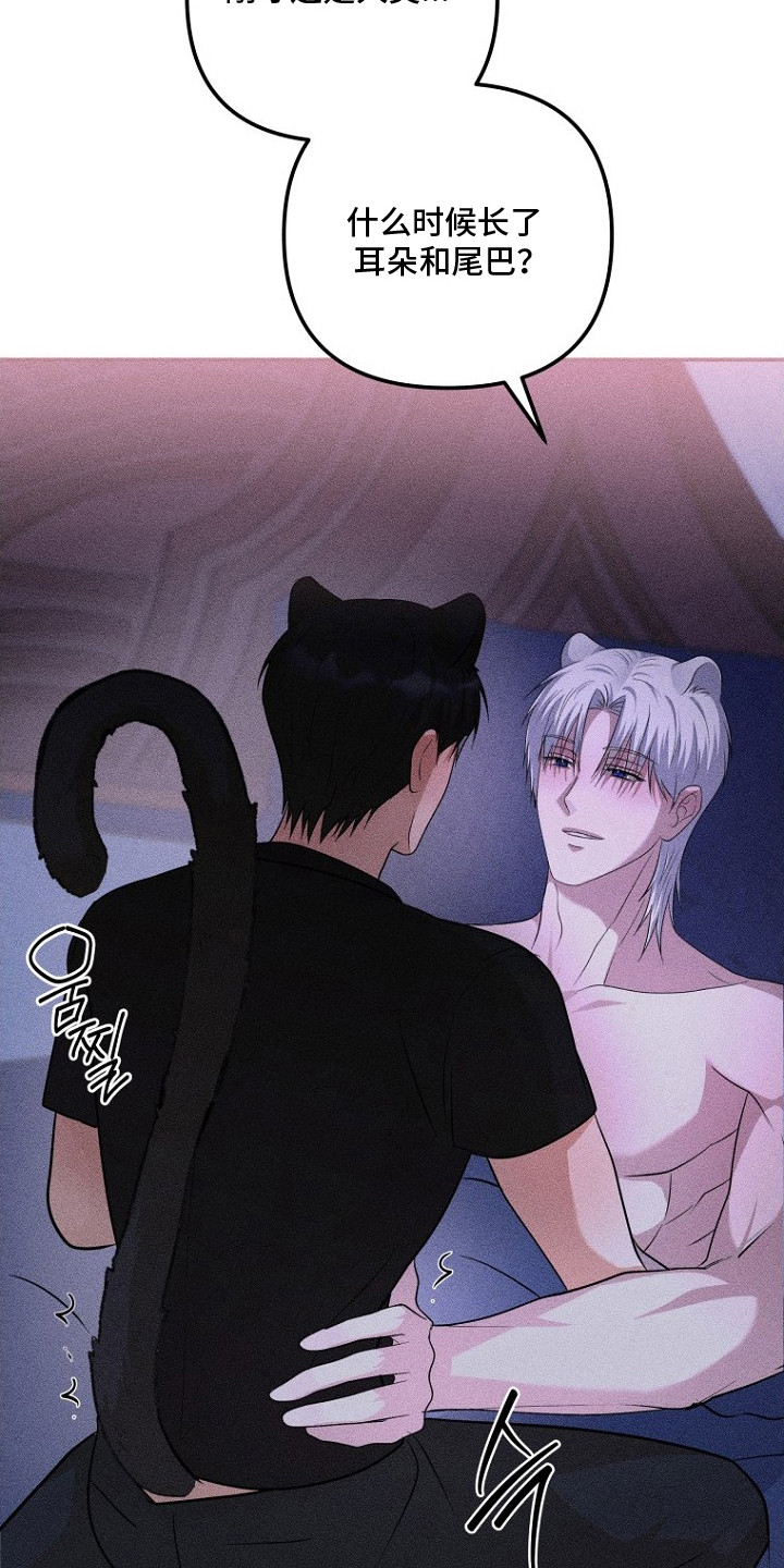 坠落婚途漫画,第14章：耳朵与尾巴1图