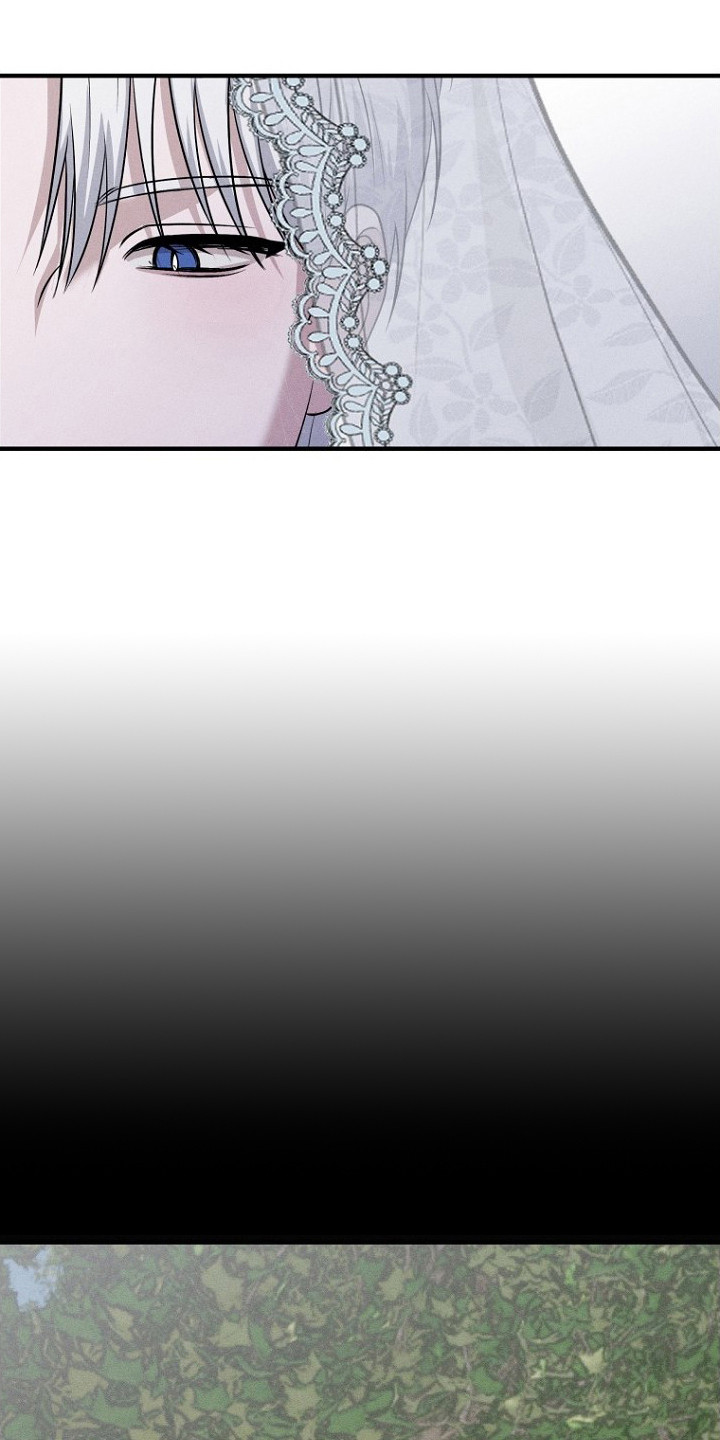 坠落婚途剧情漫画,第23章：婚礼5图