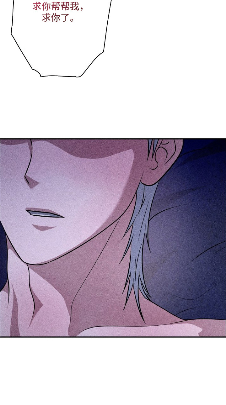 坠落婚途漫画,第14章：耳朵与尾巴5图