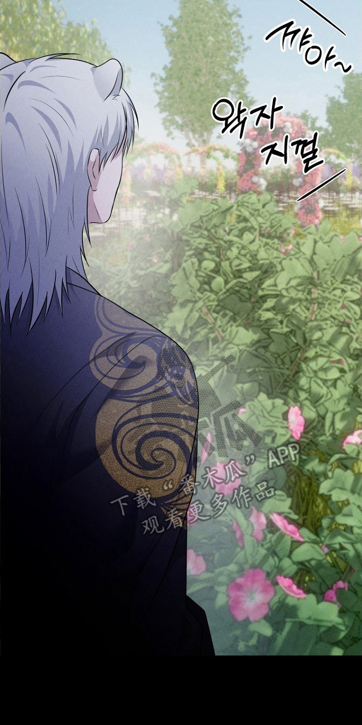 坠落婚途剧情漫画,第23章：婚礼2图