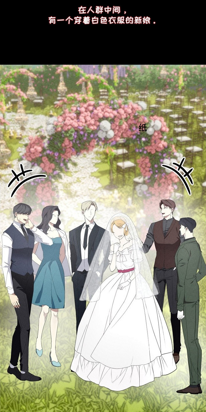 坠落婚途剧情漫画,第23章：婚礼3图