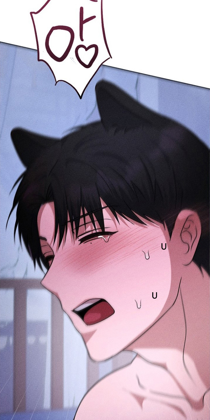 坠落婚途剧情漫画,第15章：让我怀孕吧1图