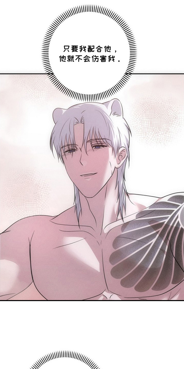 坠落小说无防盗版漫画,第9章：不是梦2图