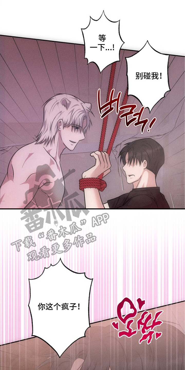 坠落婚途剧情漫画,第8章：愈发奇怪4图