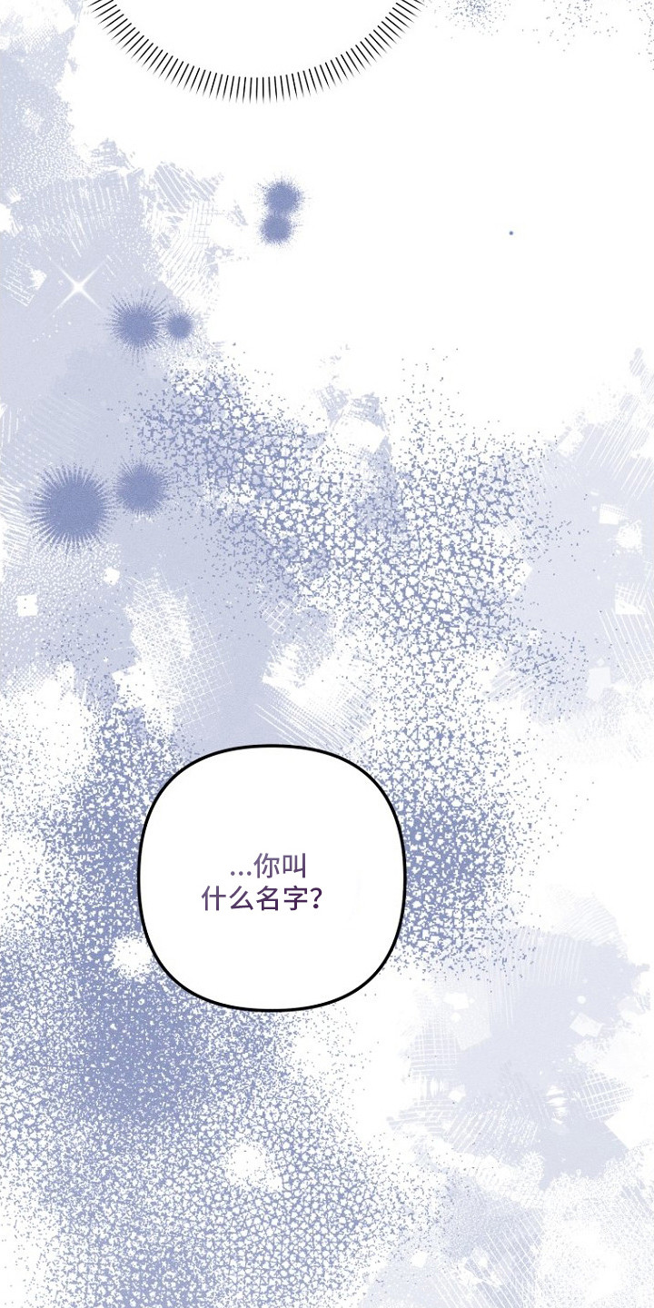 坠落婚途剧情漫画,第25章：不再孤单（完结）4图