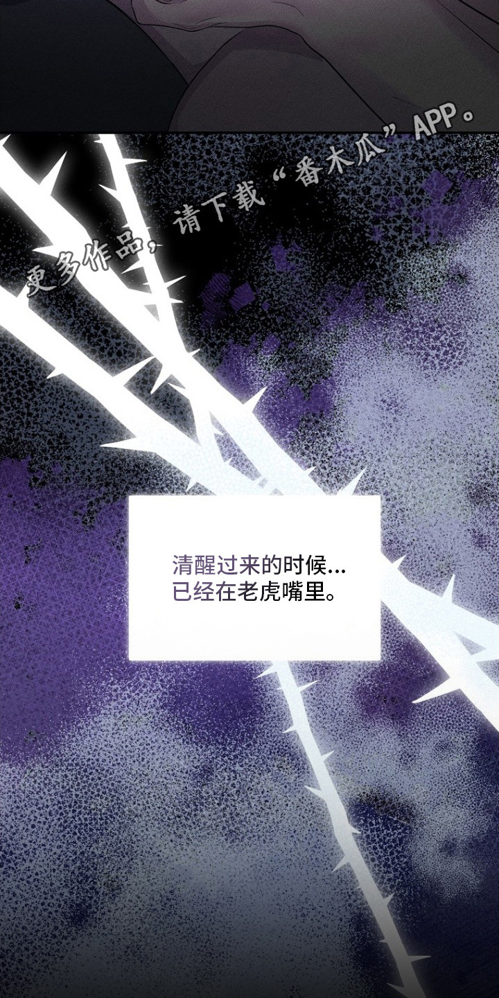 坠落婚途漫画,第1章：社畜4图