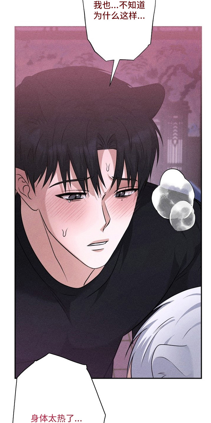 坠落婚途漫画,第14章：耳朵与尾巴4图