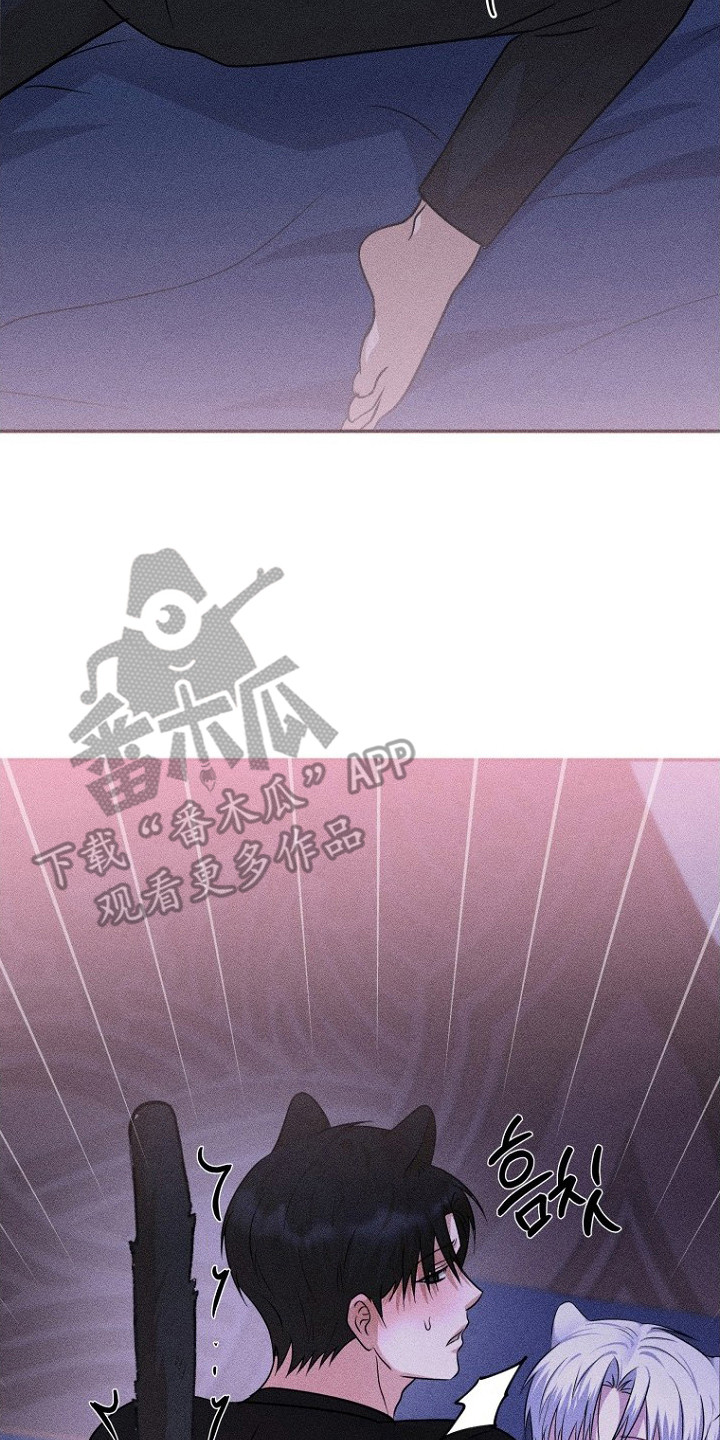 坠落婚途漫画,第14章：耳朵与尾巴2图