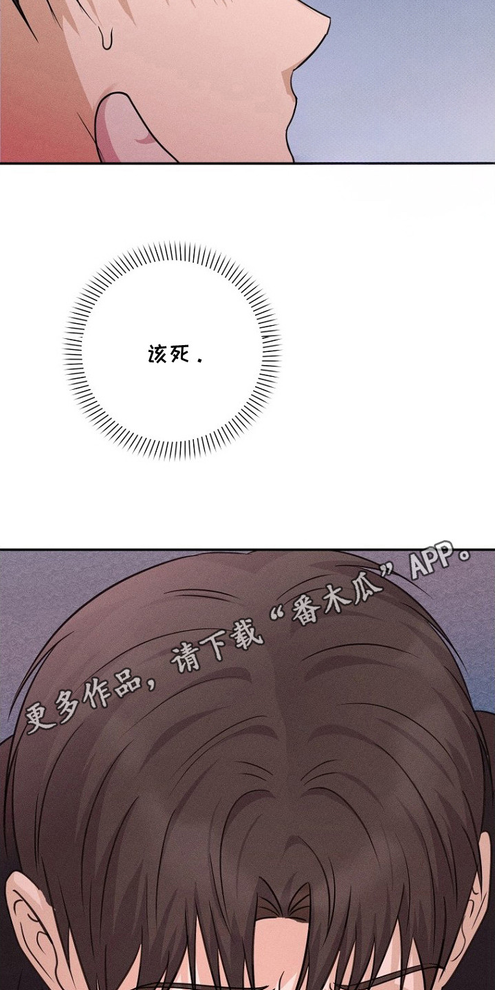 坠落婚途剧情漫画,第13章：得寸进尺4图