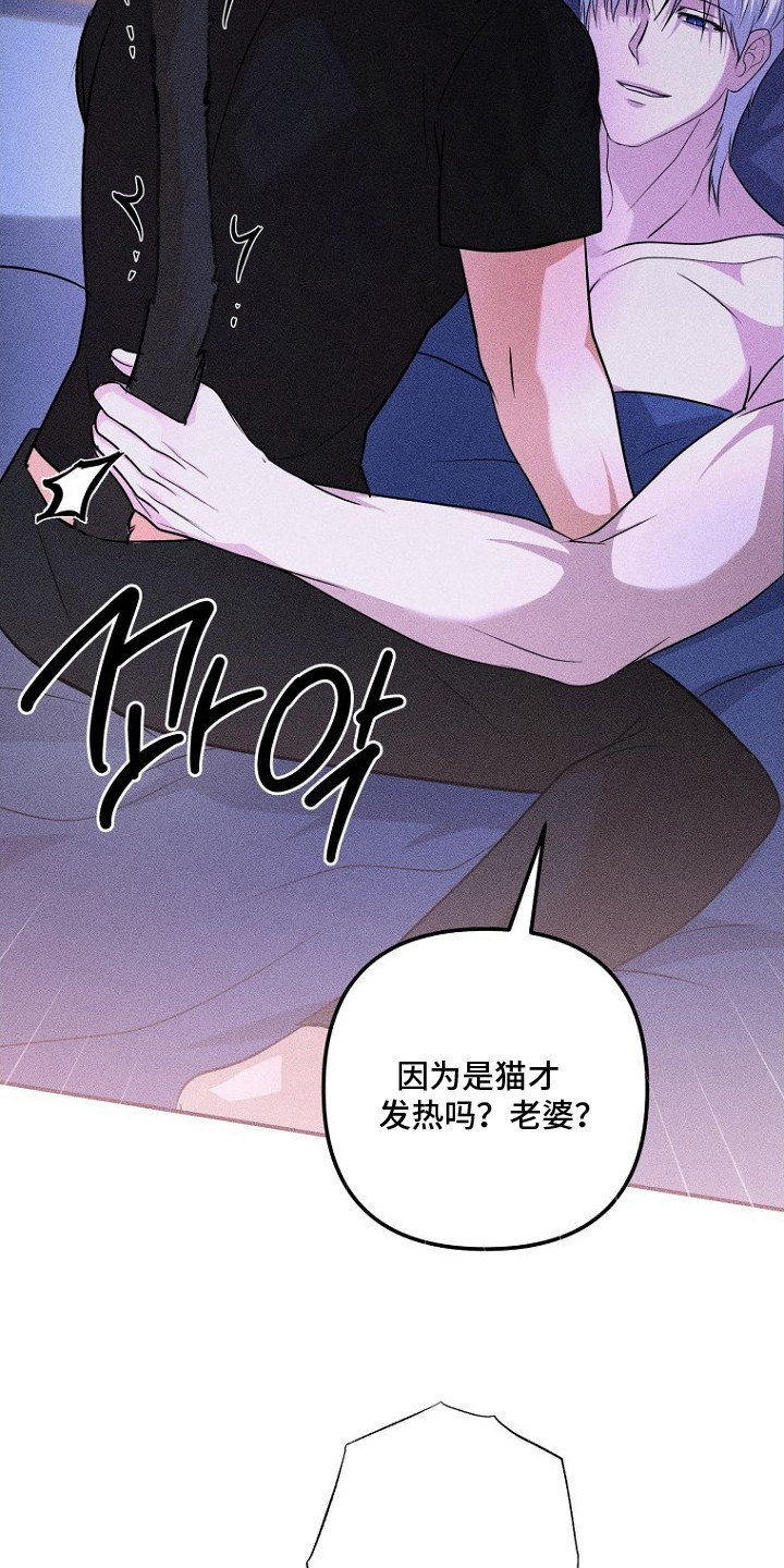 坠落婚途漫画,第14章：耳朵与尾巴3图