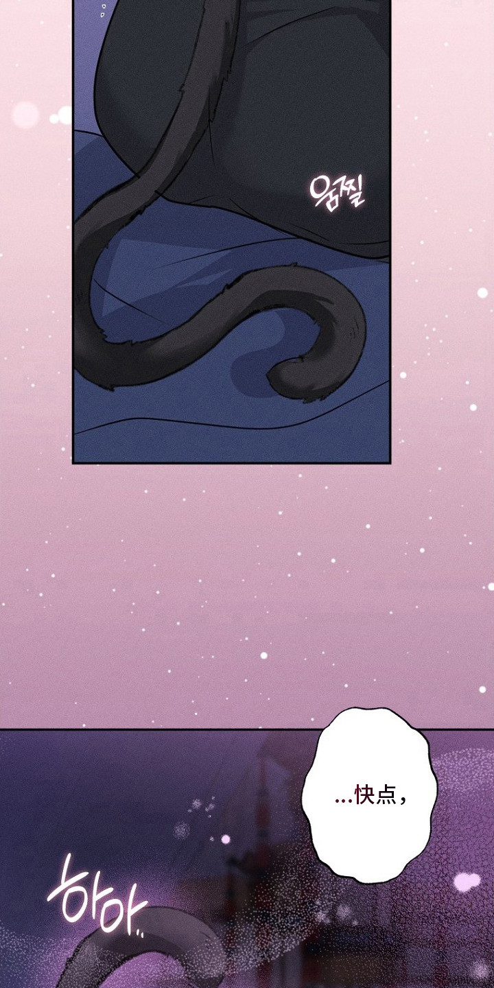 坠落婚途漫画,第14章：耳朵与尾巴5图