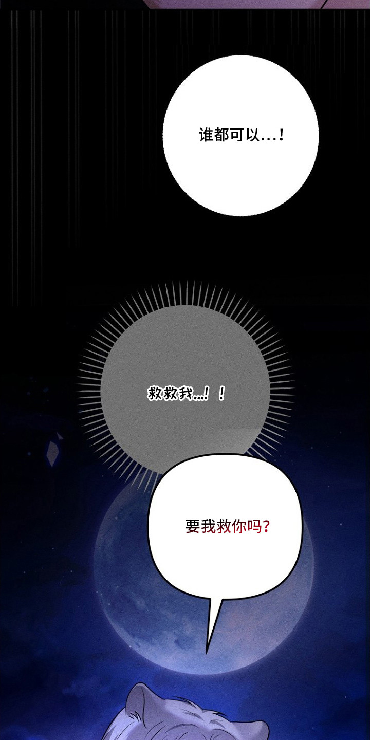 坠落婚途人物介绍漫画,第18章：逃跑3图