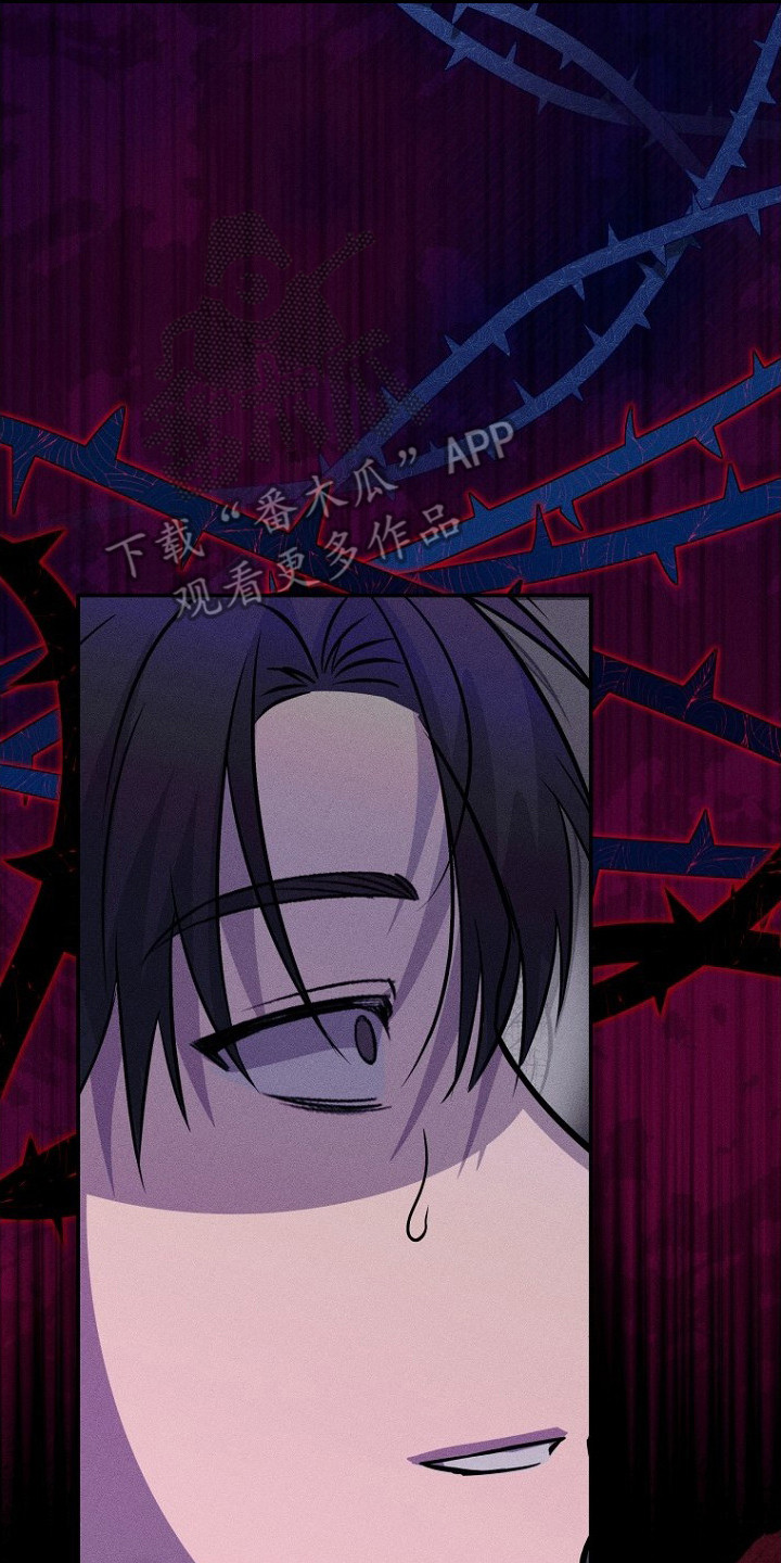 坠落婚途漫画,第3章：愿望2图