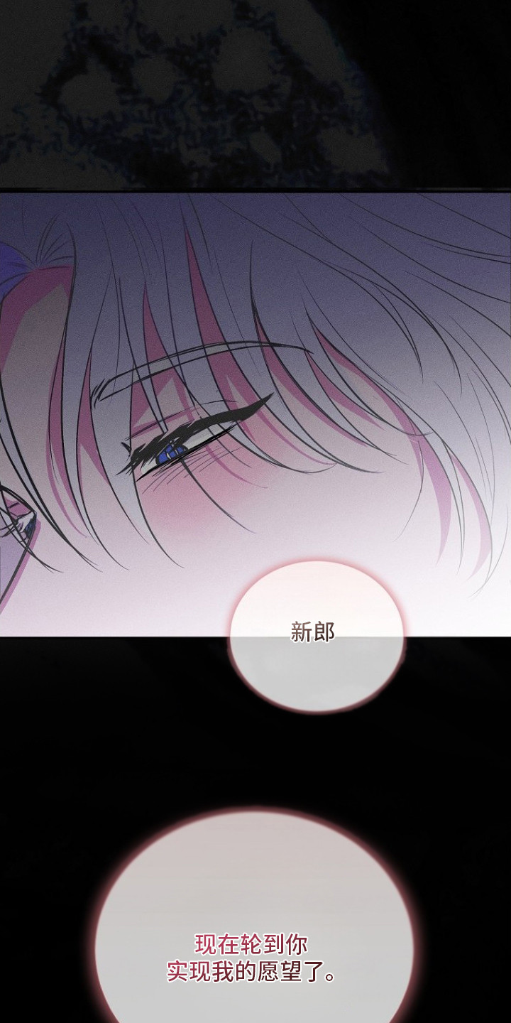 坠落婚途漫画,第3章：愿望2图