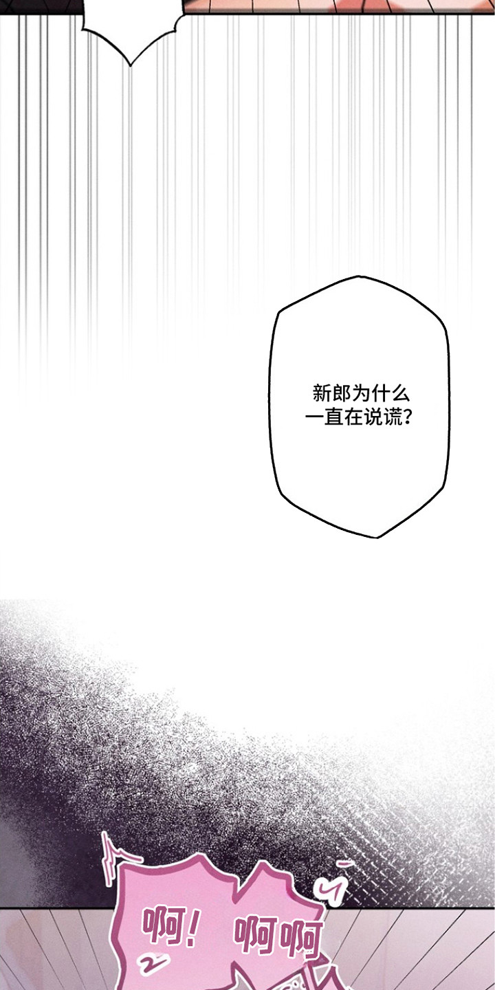 坠落婚途漫画,第7章：说谎1图