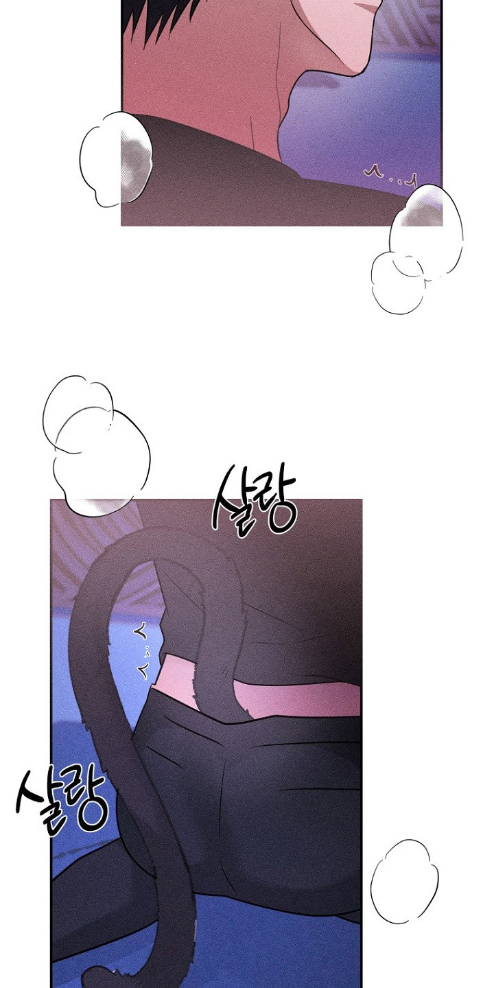 坠落婚途漫画,第14章：耳朵与尾巴4图