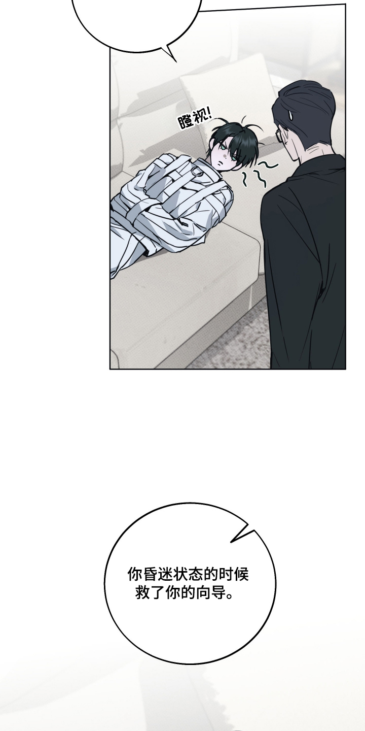 灼痕向导是清水吗漫画,第2章：以防万一5图