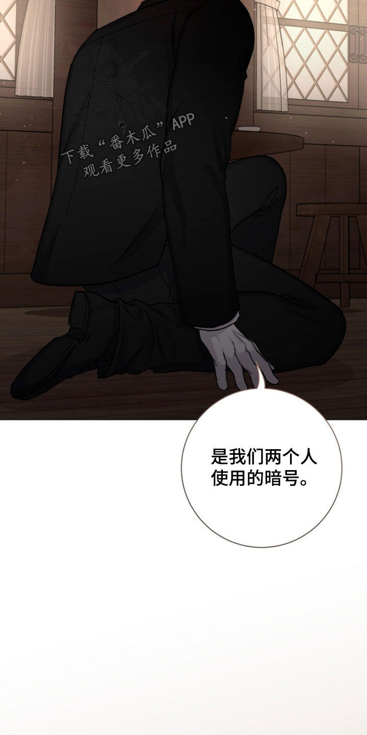 史蒂夫欧文被刺心脏视频漫画,第74章：暗号5图