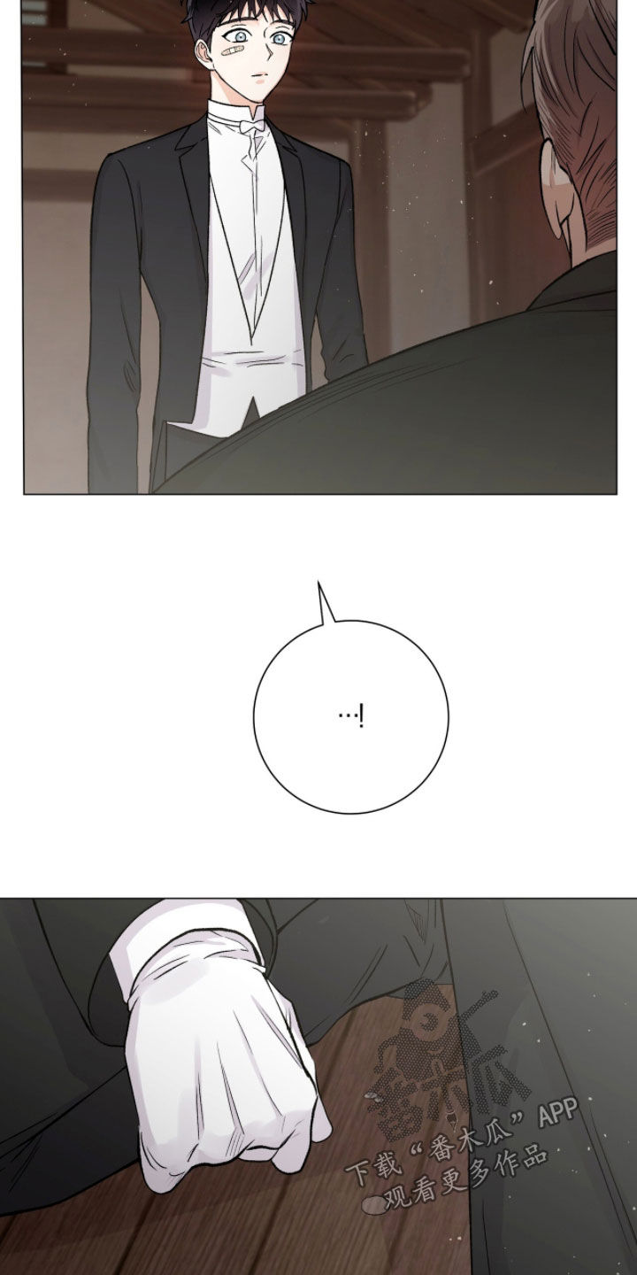 史蒂夫欧文被刺心脏视频漫画,第74章：暗号1图