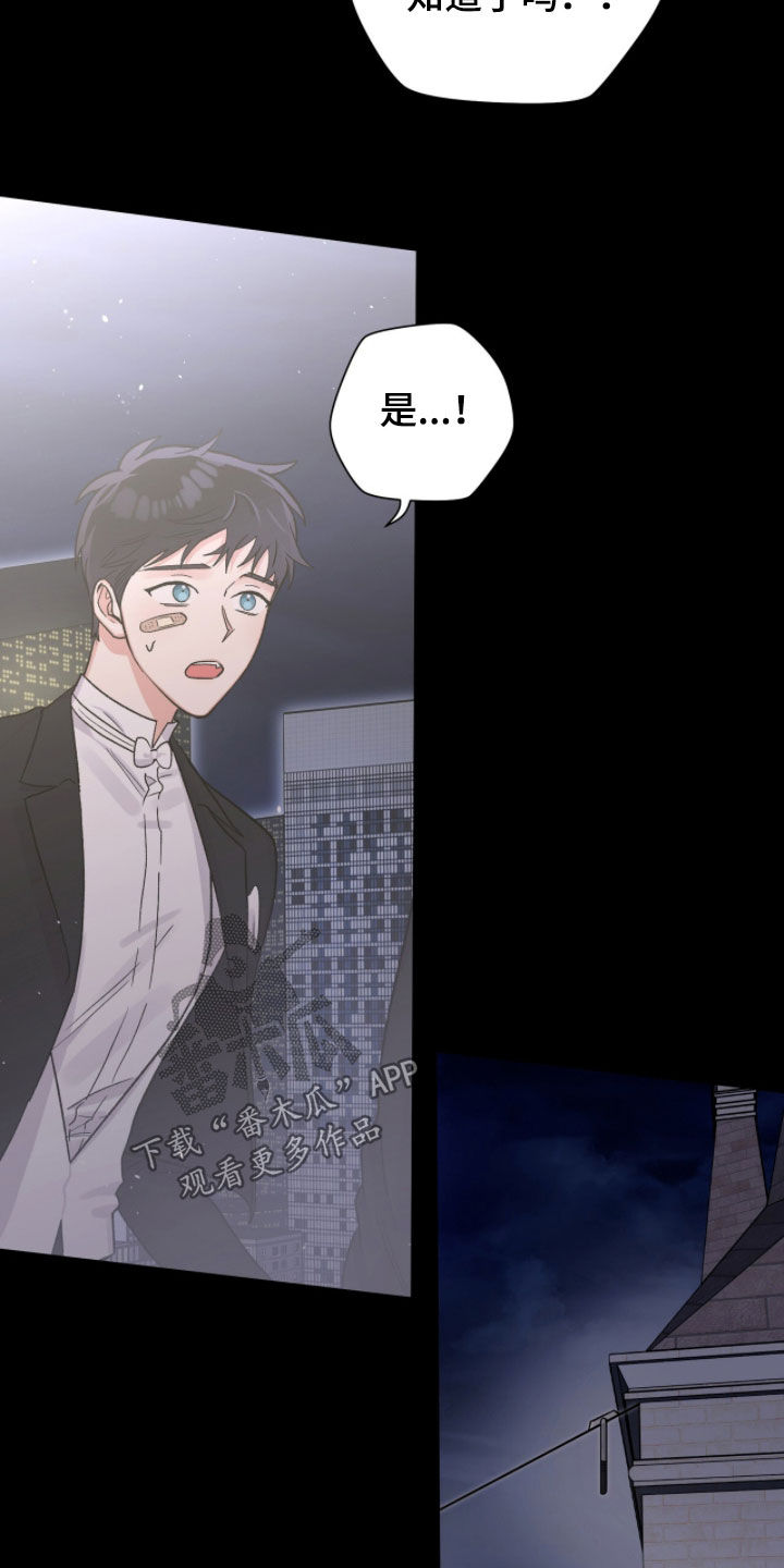 欧文的心脏漫画,第75章：完了（第一季完结）5图