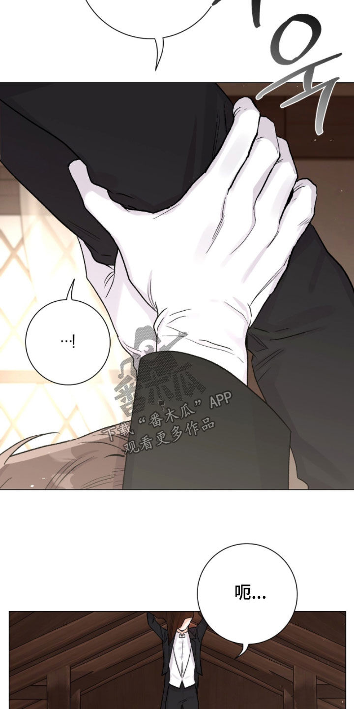 欧文的心脏漫画,第75章：完了（第一季完结）1图