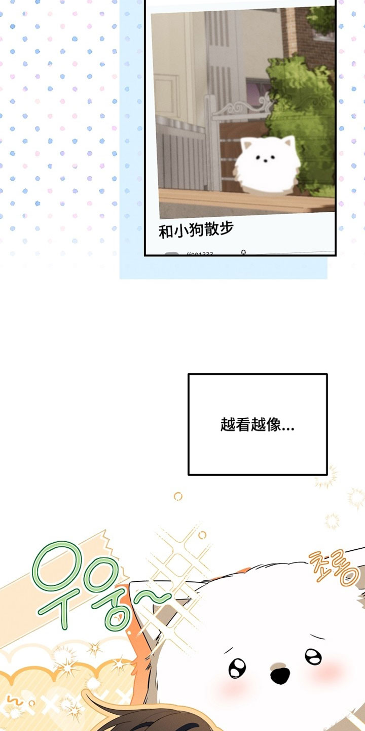 新游旧敌漫画,第74章：时间差不多了3图