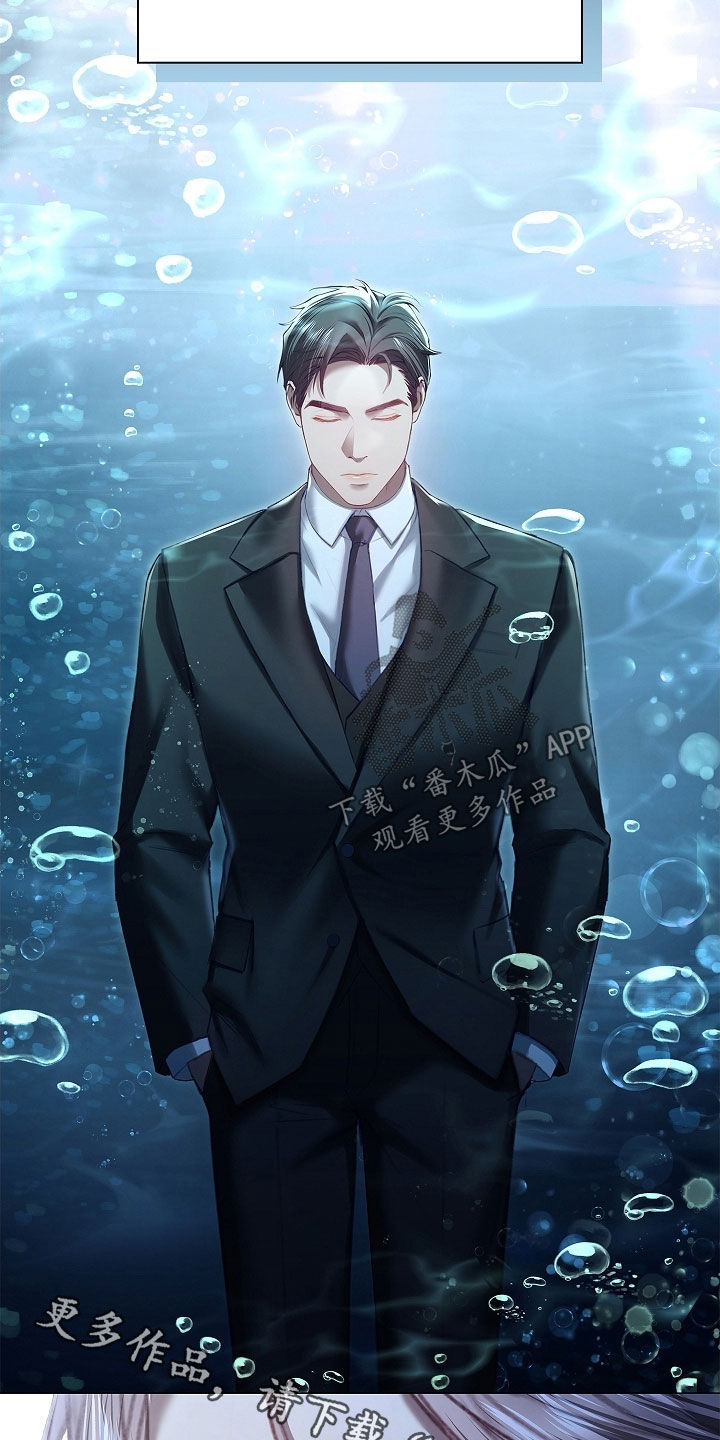 继承者的婚约漫画,第29章：完全相反1图